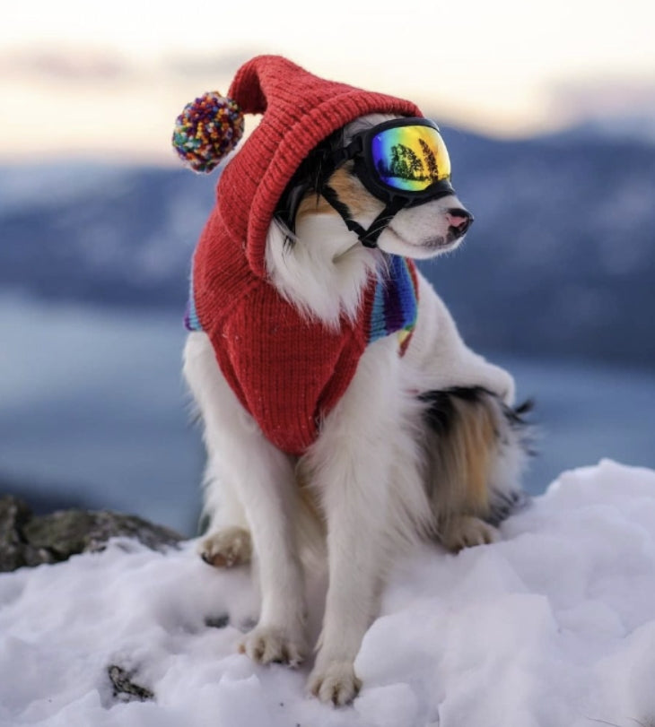 Dog wearing a Chilly Dog Apres Ski Vintage Ski Hoodie with goggles and a red pom pom hat in the snow