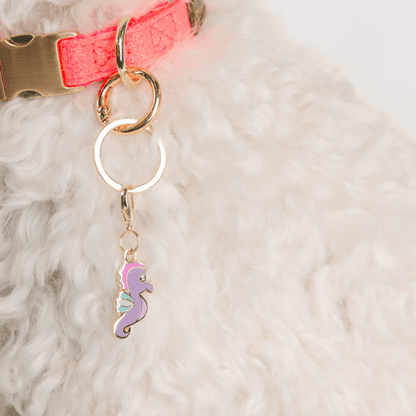 Seahorse Pet Charm