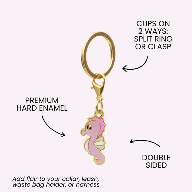 Seahorse Pet Charm