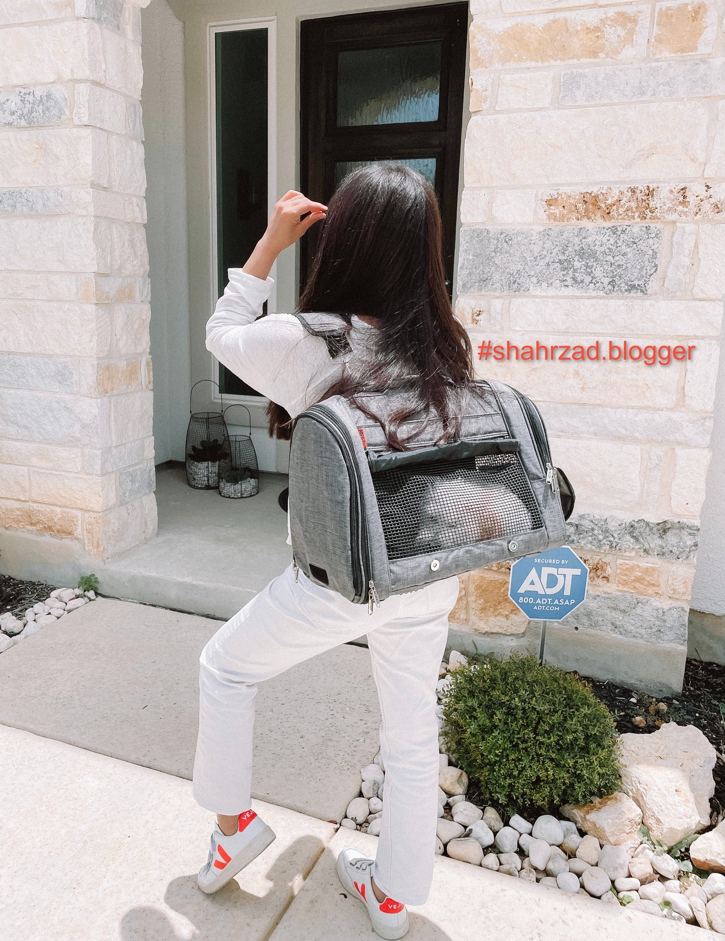 358 Hideaway™ Backpack Pet Carrier