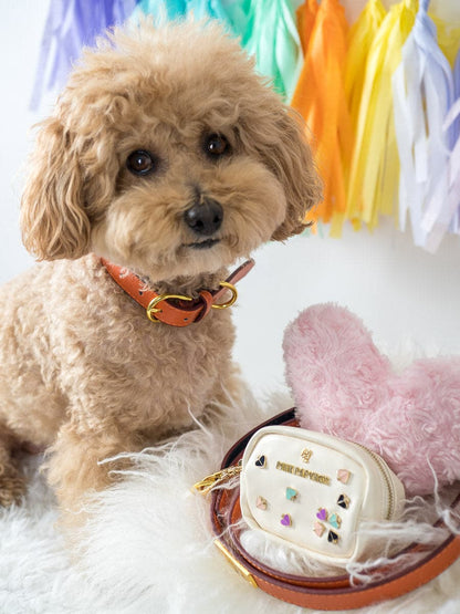 Ainsley Vegan Leather Dog Collar