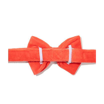Suki Dog Bow Tie