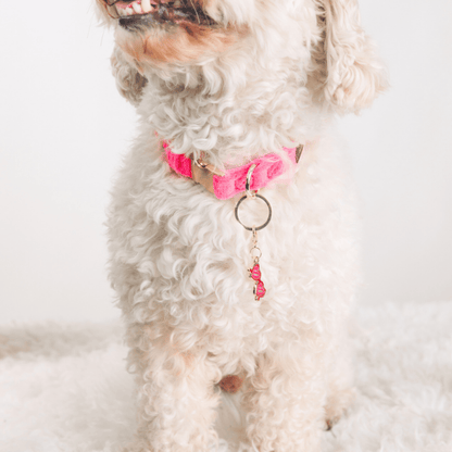 Sunglasses Pet Charm