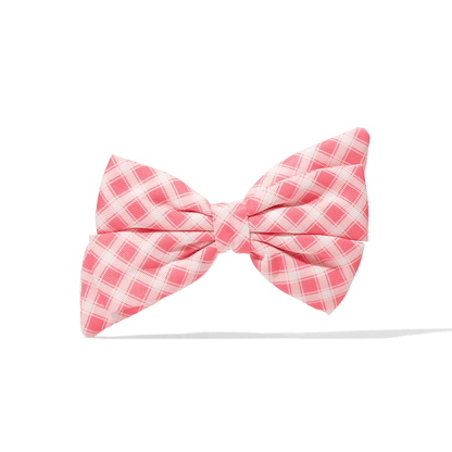Sutton Dog Babe Bow