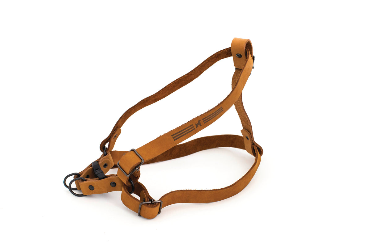 Sport Leather Step-In Harness