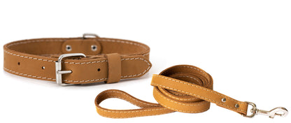 Traditional Leather Leash