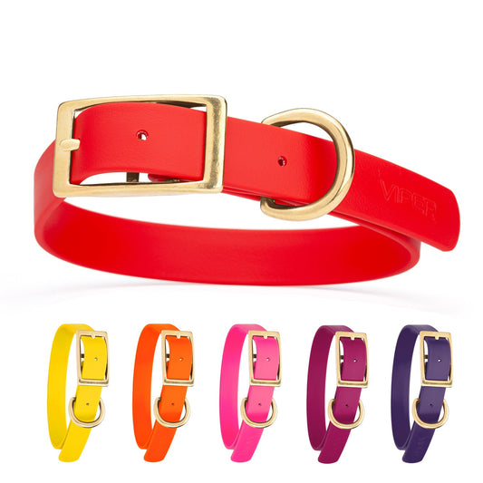 Viper Biothane Waterproof Collar - Brass Hardware - Size L (18 to 22 inches)