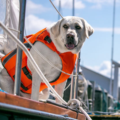 Monterey Bay Life Jacket