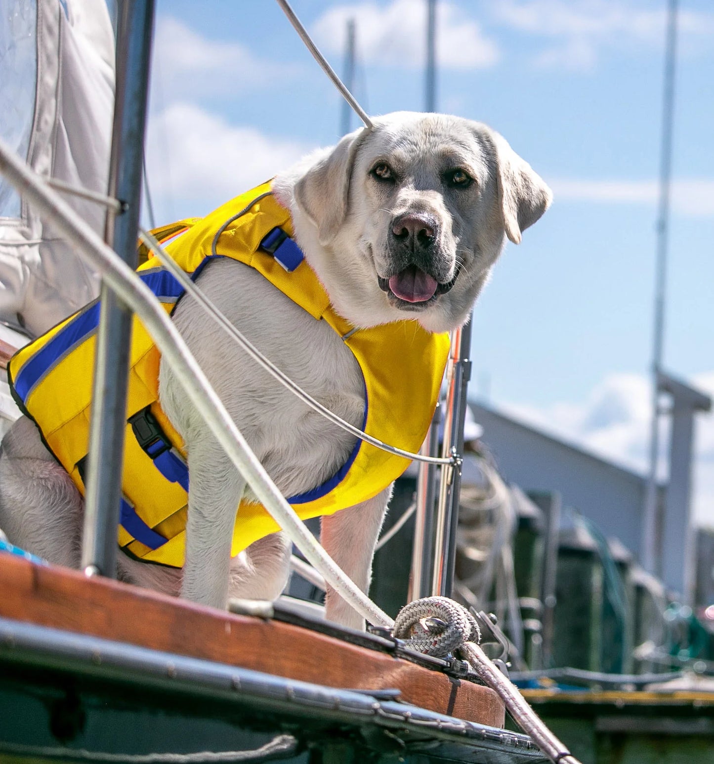 Monterey Bay Life Jacket
