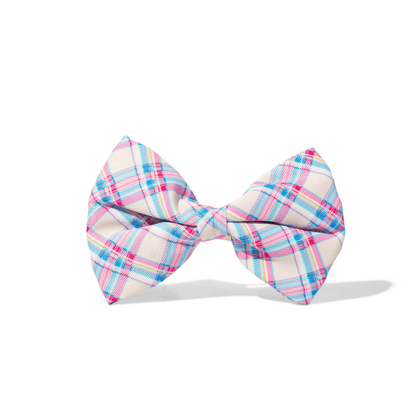 Whitley Dog Bow Tie