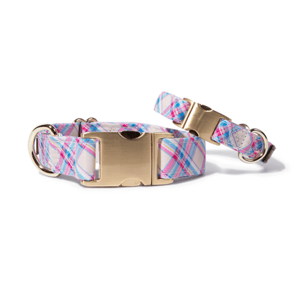 Whitley Dog Collar