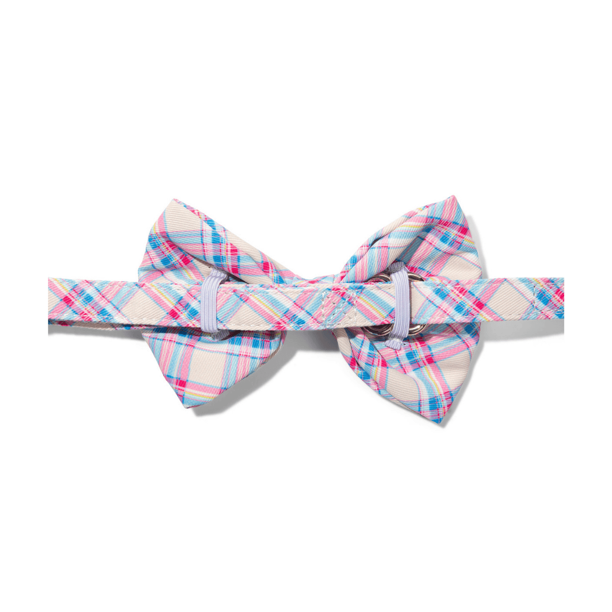 Whitley Dog Bow Tie