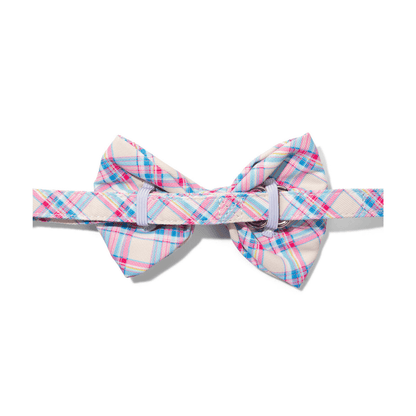 Whitley Dog Bow Tie