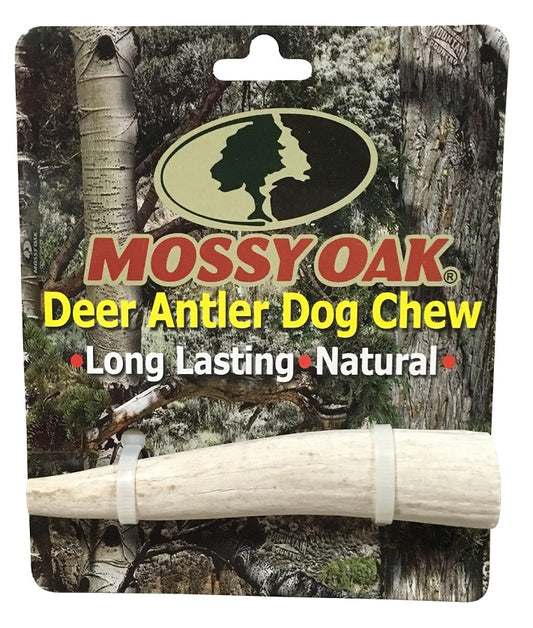 Mossy Oak Antlers