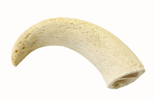 Buffalo Horn Core