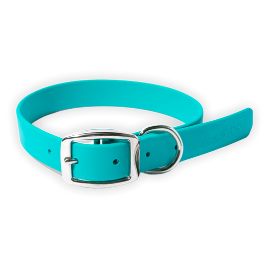 Bright & Bold Vegan Leather Collar