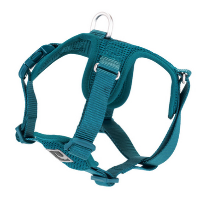 Forte Step In Harness