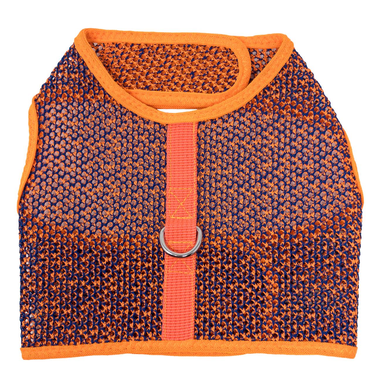 Orange & Blue