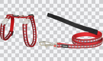 Cat Harness & Leads - Reflective