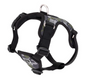 Forte Step In Harness