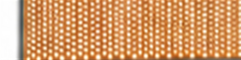 Champagne