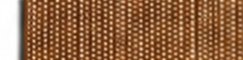 Coyote Tan