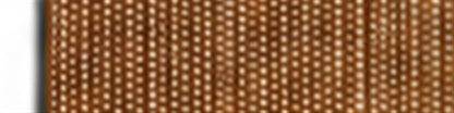 Coyote Tan