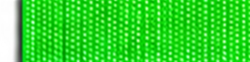 Neon Green