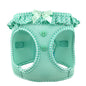 Teal Polka Dot