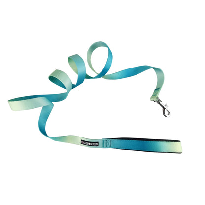 Aruba Blue