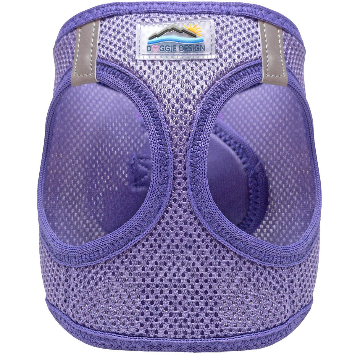 Paisley Purple