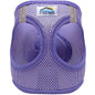 Paisley Purple