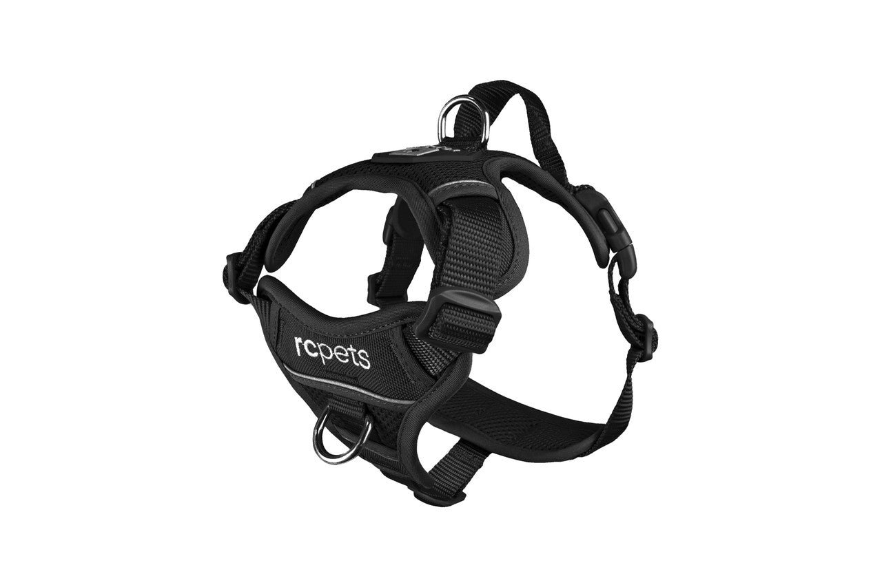 Momentum Harness