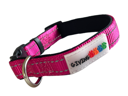 Neoprene Padded Nylon Dog Collar