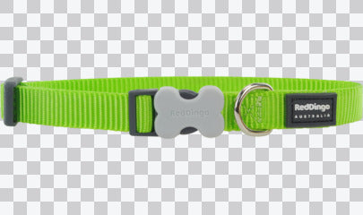 Buckle Bone Dog Collars - Classic (Solid)