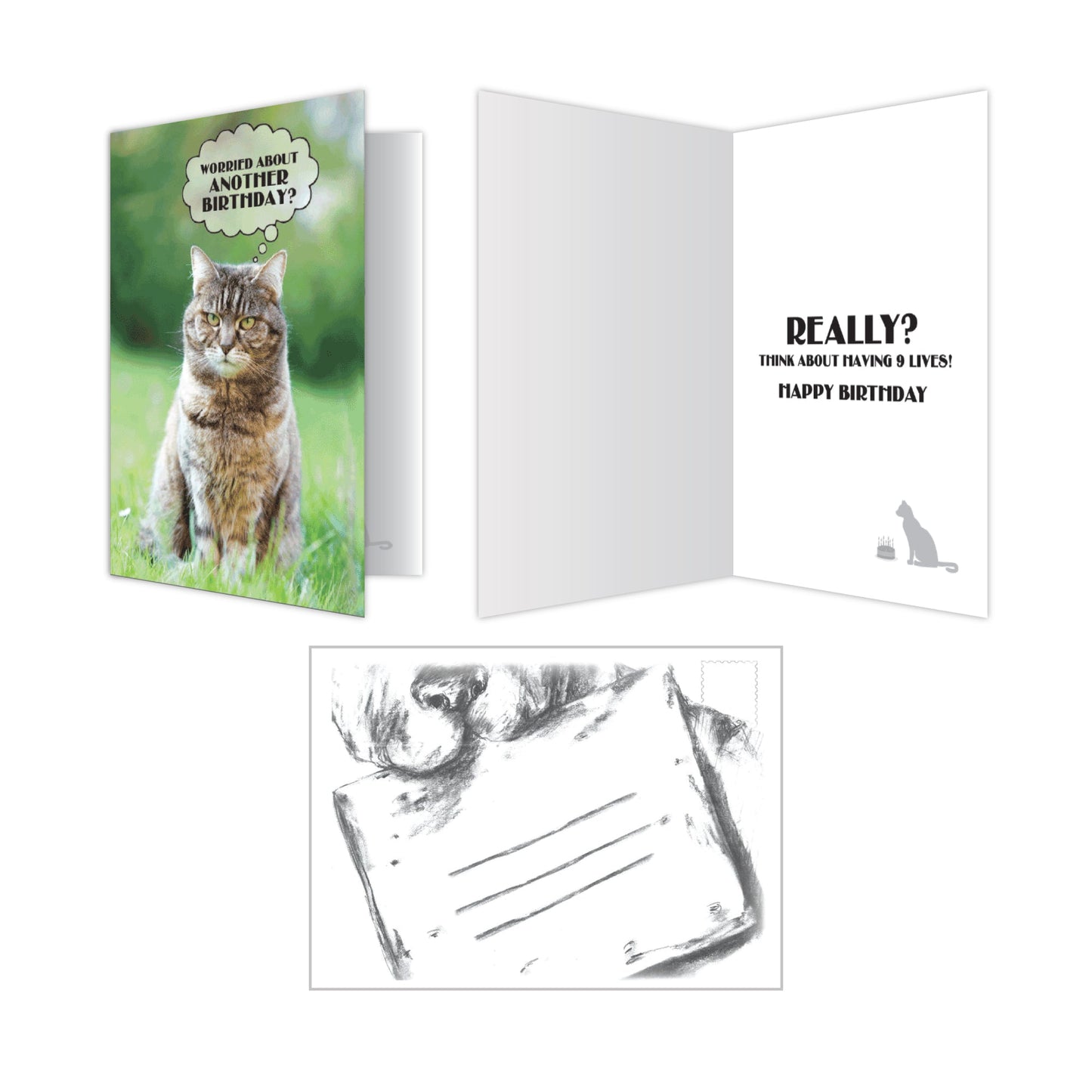 Cat Birthday Cards (Pack of 6)