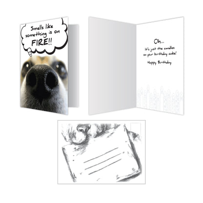 Birthday Cards (Pack of 6)