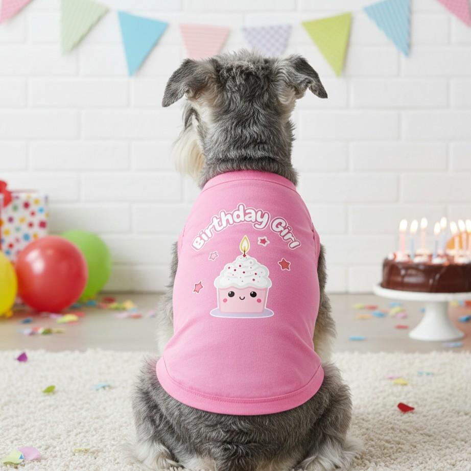 Fun T-Shirt - Birthday Girl