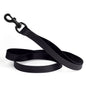 Biothane Waterproof Multi-Handle Dog Leash