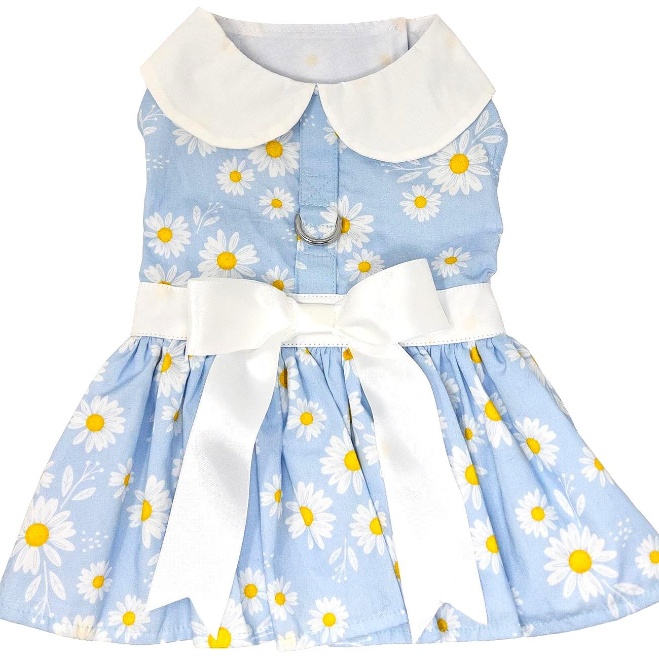 Blue Daisy