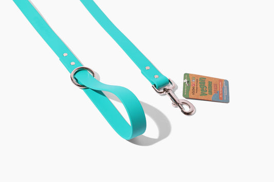 Bright & Bold Vegan Leather Leash