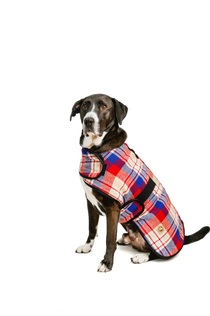 Dog Blanket Coats Red Field Plaid