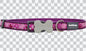 Buckle Bone Dog Collars - Design - Breezy Love