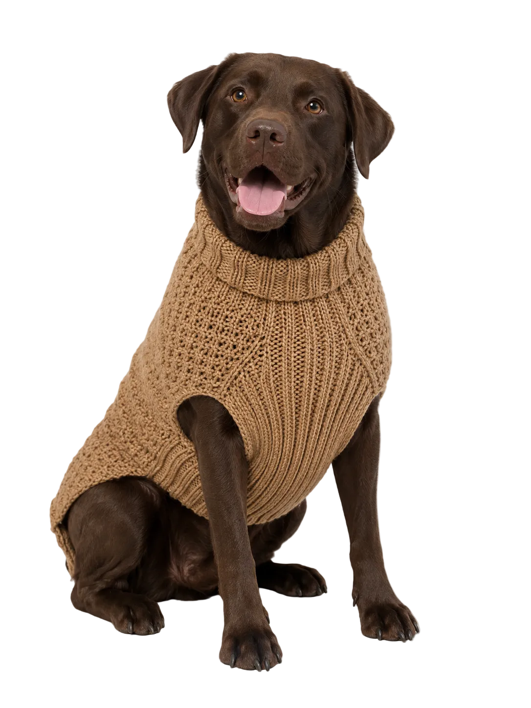 Camel Alpaca Cable Knit Dog Sweater