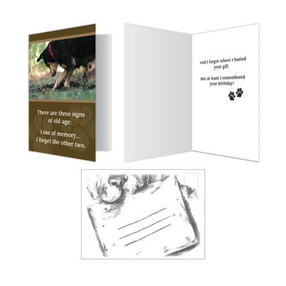 Birthday Cards (Pack of 6)