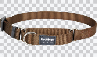 Martingale Dog Collars - Classic (Solid)
