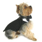 Christmas & Winter Apparel - Harness Tuxedo w/Tails