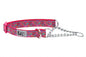 Patterned Training Collars
