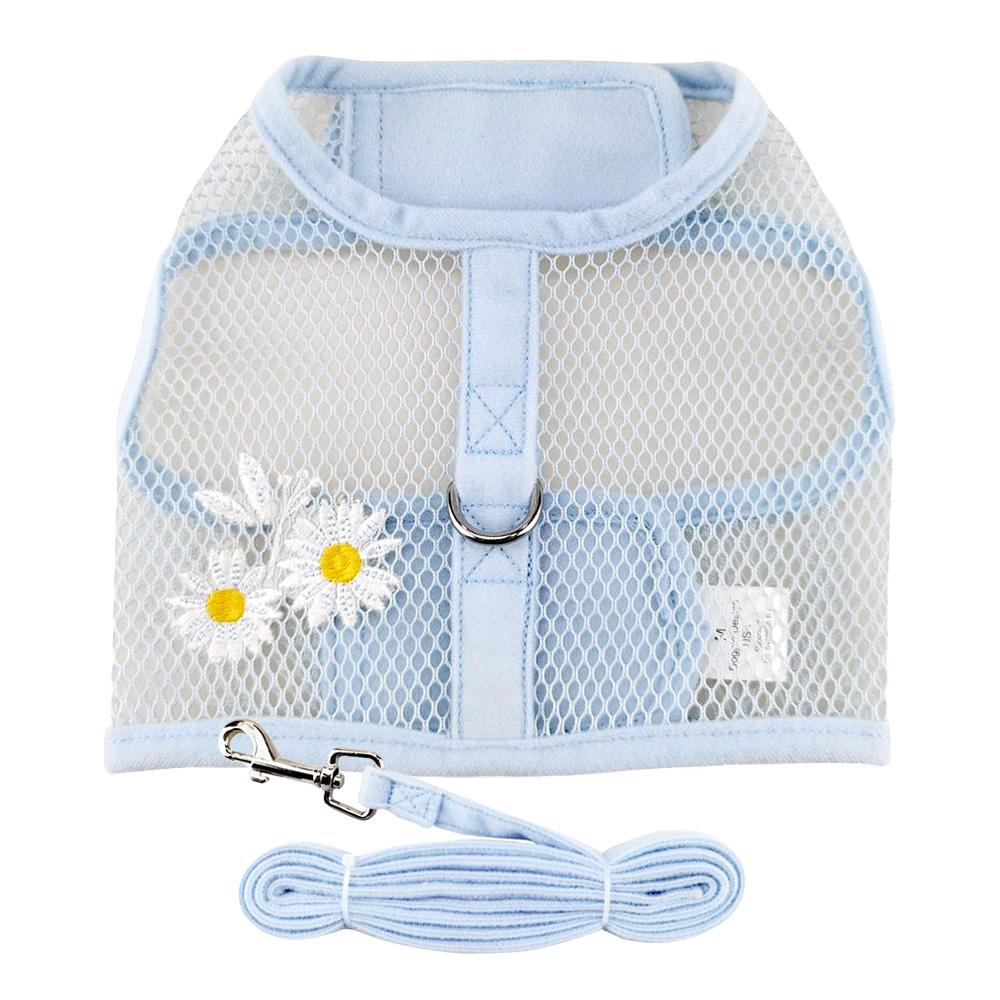 Blue Daisy