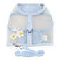 Blue Daisy